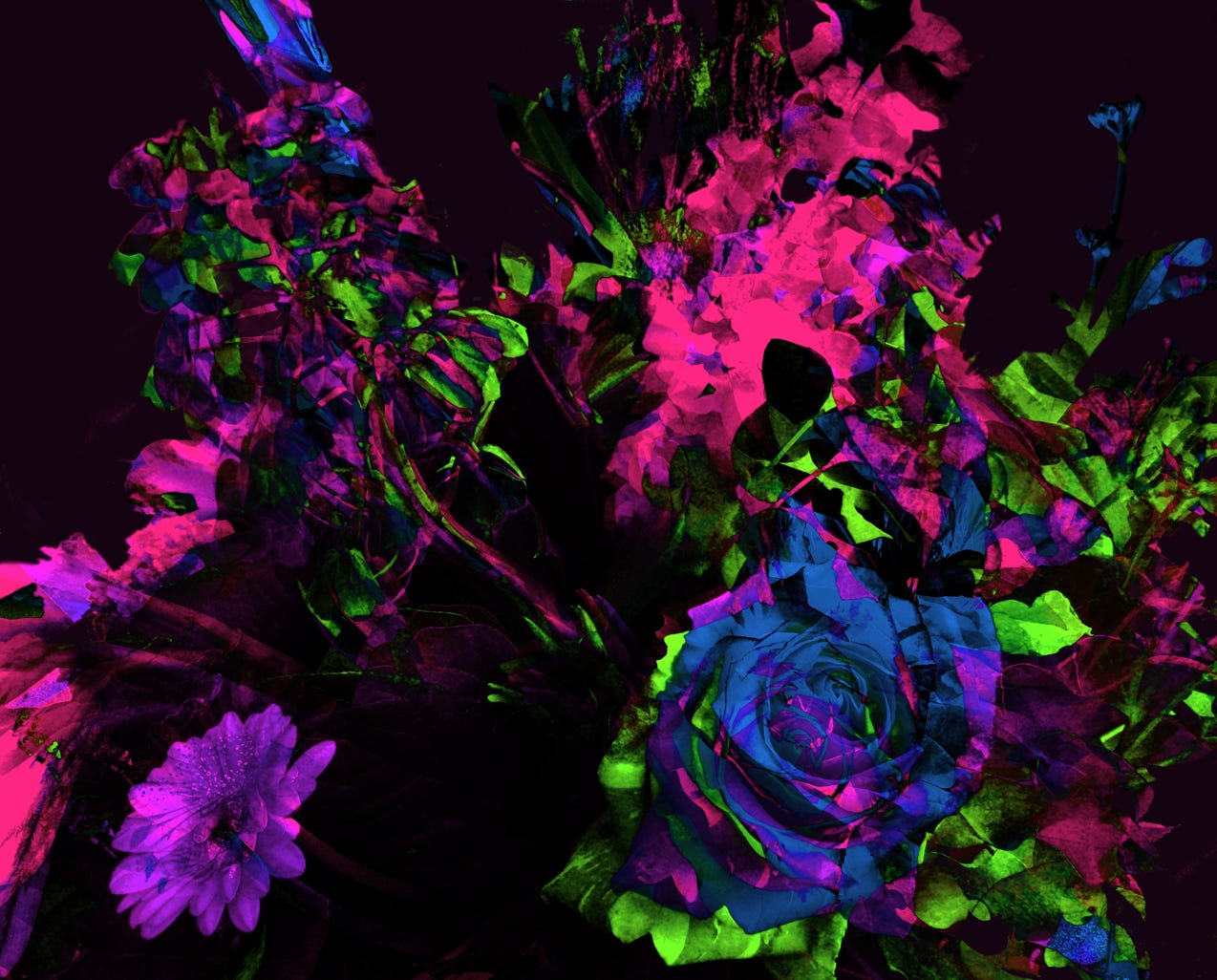 Abstract and colorful summer flowers, digital painting